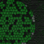 How to create a WordPress Theme from Scratch Using Bootstrap CSS