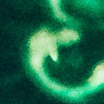 how to resolve the genmon issue and network not connecting in Kali Linux